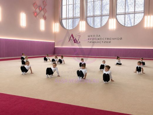 Фото группа тренировка художественная гимнастика дисциплина любовь рублевка спорт веселова